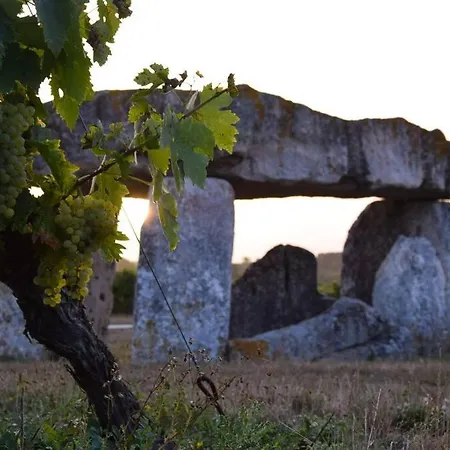 Maison De Village Ferienhaus Saint-Meme-les-Carrieres